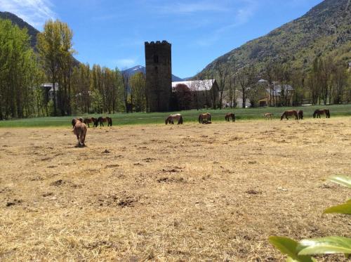 Hotel La Ribera - image 12