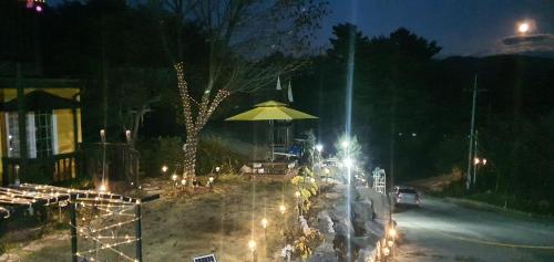Honey Bear Pension