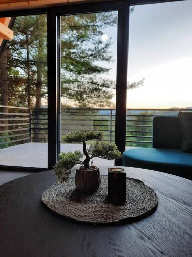 Cool House and Pool, Banja Vrujci in Popadić