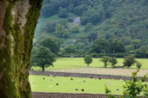 Hazel Bank Country House - image 7