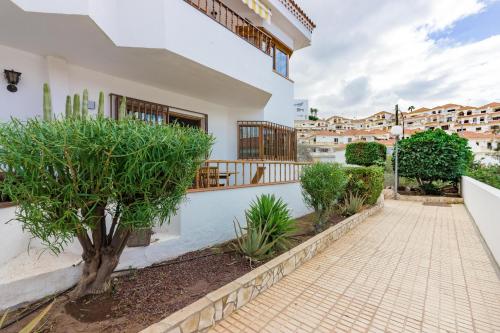 Bouganvilla 2A001