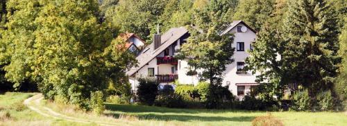 B&B Friedenfels - Bellas Mühlbachtal - Bed and Breakfast Friedenfels