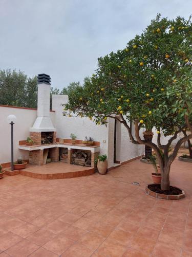 Casa Paola gîte à louer Baglio Spano