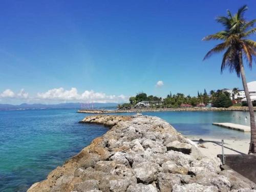 T2 spacieux, bord de mer, piscine privee, clim