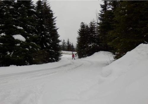 Taluswood #3 by MC Luxury Rentals in Whistler, Canada