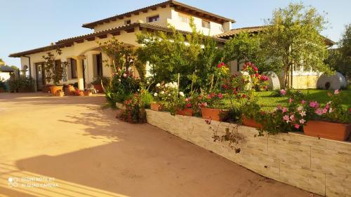  I Giganti in Riola Sardo