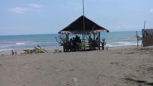 Damara Beachfront Resort Damara Beachfront Resort