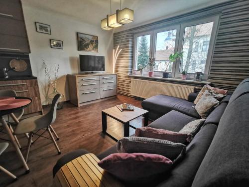 Apartament W SERCU USTRONIA - Apartment - Ustroń