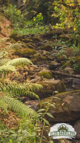 สภาพแวดล้อมโดยรอบ, Rancho Los Barriles in คอสตา เอสเมอรอลดา