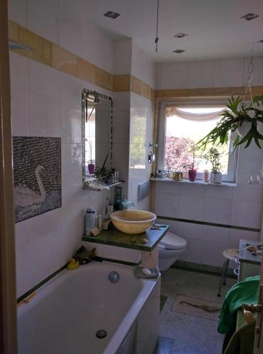 Weltoffenes privates Gästezimmer bei LGBTQ freundlichen Gastgeber der mit in der Wohnung lebt, Berlin (zdjęcie 8)