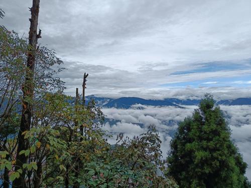 The Point Homestay