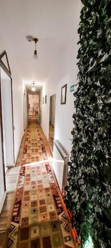 Photos of 5 Stars High Hostel