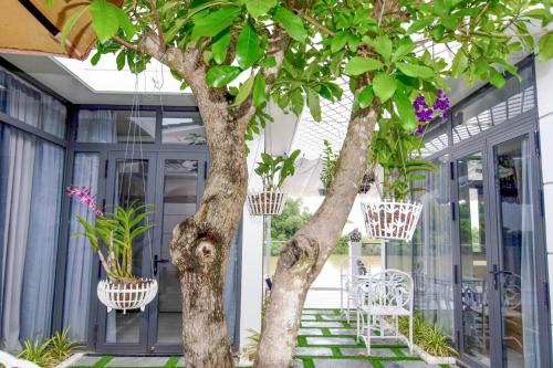 Homestay Thai An