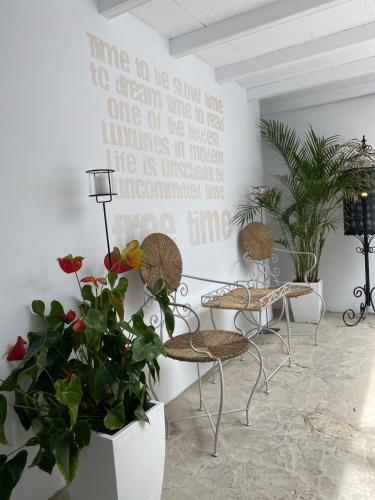 Casa Blanco - image 12