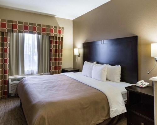 King Suite image 6