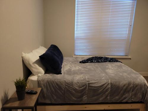Luxury Apartment
