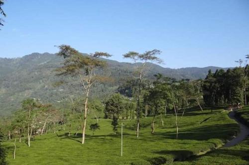Goonkeshari Homestay