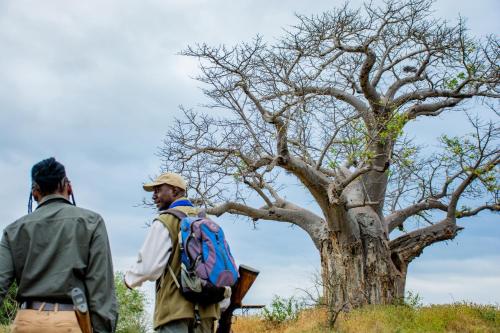 Nkula Camp - Pafuri Walking Safari's Nkula Camp - Pafuri Walking Safari's