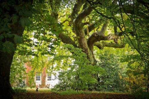 Roundwood House - image 13