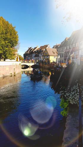 Sur les Quais de Colmar avec parking inclus - image 7