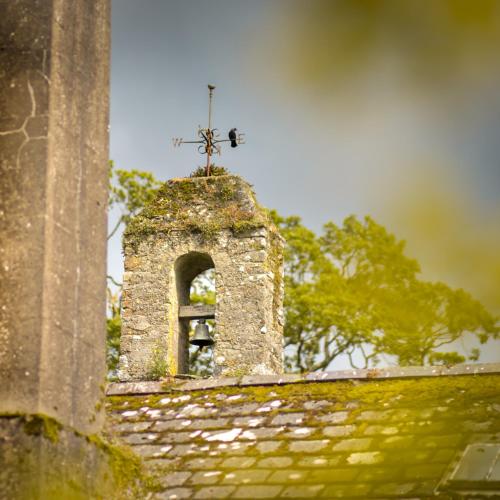 Roundwood House - image 6