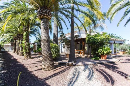  Finca Pepe 1 in Denia