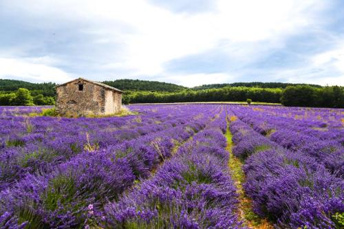 Petit studio atypique et cosy en Provence