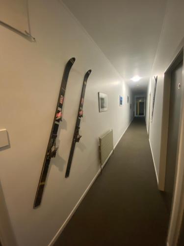 国家公园阿尔卑斯宾馆 国家公园阿尔卑斯宾馆