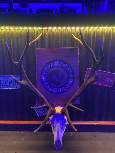 国家公园阿尔卑斯宾馆 国家公园阿尔卑斯宾馆