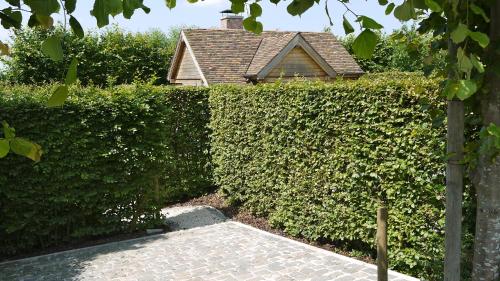 B&B Hemel & Haard - image 3