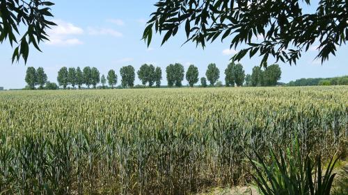B&B Hemel & Haard - image 14
