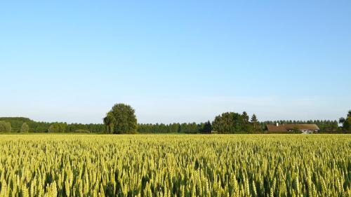 B&B Hemel & Haard - image 5
