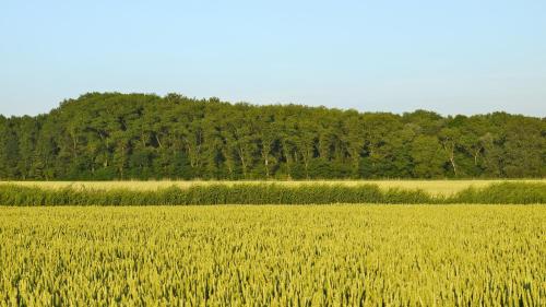 B&B Hemel & Haard - image 7