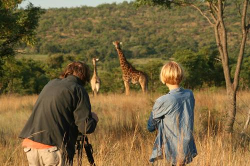 Makweti Safari Lodge