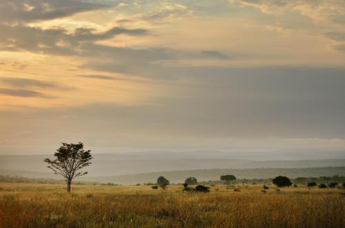 Makweti Safari Lodge