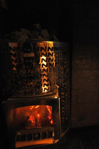 Villa Haapaniemi - image 11