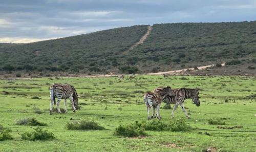 Kudu Ridge Game Lodge