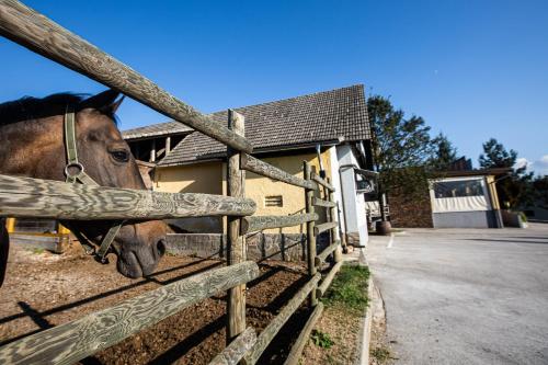 Gostilna Pugelj in โนโวเมสโต