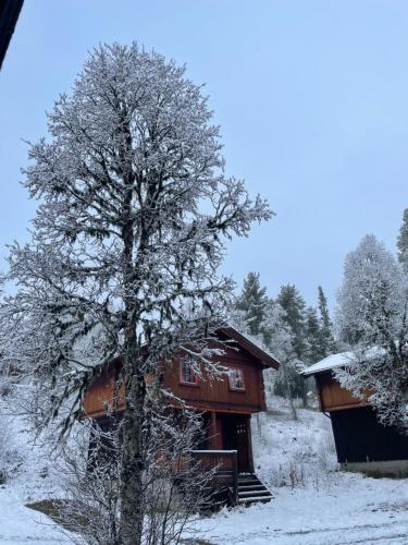 Måsåplassen Friisvegen Mountain Lodge