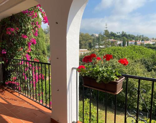 ระเบียง/ชานเรือน, Casa Zawadi in โดนา ปิลาร์