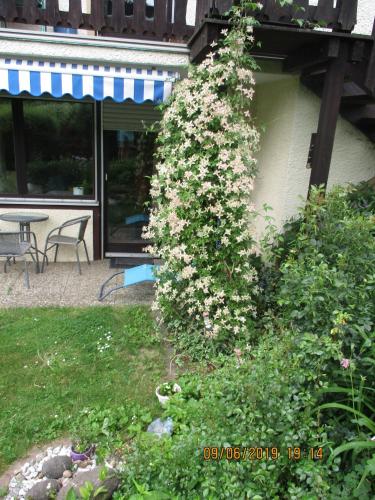 Dārzs, Ferienwohnung Troglauer in Theisseil