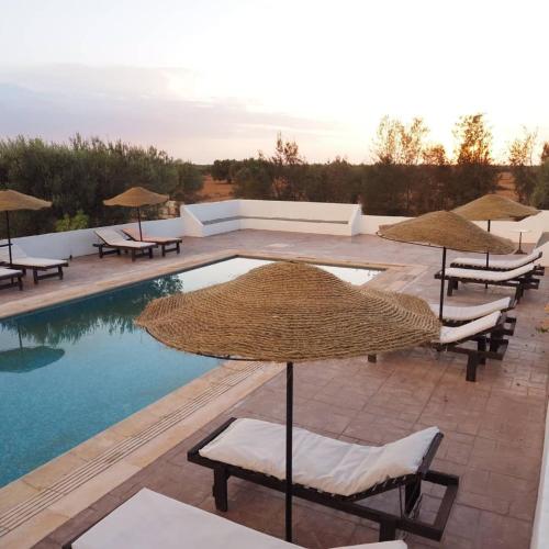 Úszómedence, Maison d'Hote Domaine El-Manar in Zarzis
