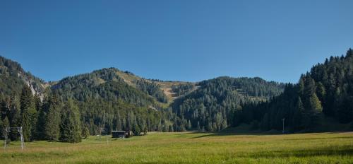 Viesnīcas āriene, Casa Sauris in Sauris