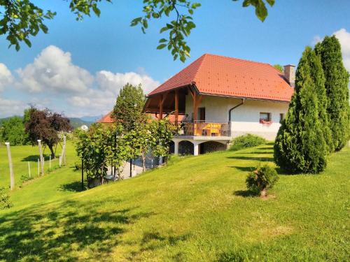 Зовнішній вигляд готелю, Holiday Home Dobrotin in Vojnik