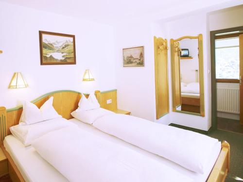 Pension Alpenheim By Skinetworks