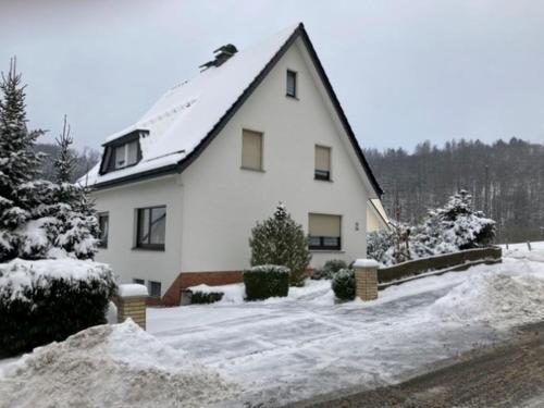 Ferienhaus Sommerhaus-Sauerland - Hachen