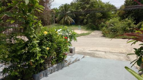 Deluxe Bungalow with Garden View image 6