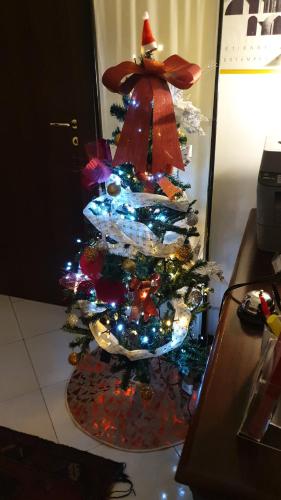 Alba central City - image 5