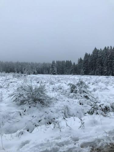 TERRASSES DE MALMEDY Triplex 224 LE CERF BLANC