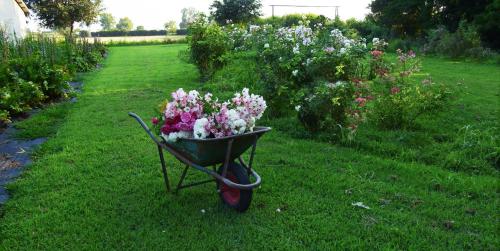 Agriturismo Fiorbello